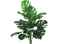 bird-fiy-artificial-plants-29-tall-fake-turtle-tree-leaves-with-stems-faux-palm-leaf-imitation-frond-leaf-tropical-small-1