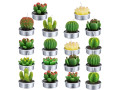 cactus-tealight-candles18-pcs-gift-boxed-artificial-succulents-decorative-tea-small-4