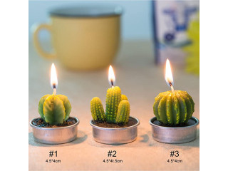 Cactus Tealight Candles(18 Pcs Gift Boxed), Artificial Succulents Decorative Tea
