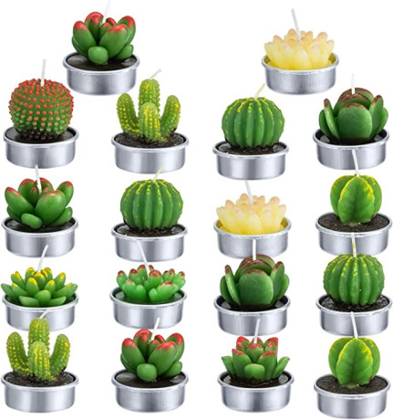 cactus-tealight-candles18-pcs-gift-boxed-artificial-succulents-decorative-tea-big-4