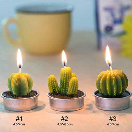 cactus-tealight-candles18-pcs-gift-boxed-artificial-succulents-decorative-tea-big-0