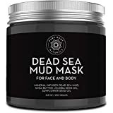 new-york-biology-dead-sea-mud-mask-for-face-and-body-spa-quality-pore-reducer-for-acne-blackheads-big-0