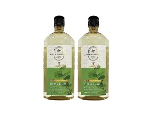 Bath and Body Works 2 Pack Aromatherapy Stress Relief Eucalyptus & Spearmint Shower Gel. 10 Oz