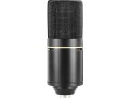 mxl-770-multipurpose-large-diaphragm-condenser-microphone-small-1