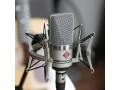 neumann-pro-audio-cardioid-condenser-microphone-ideal-for-home-small-2