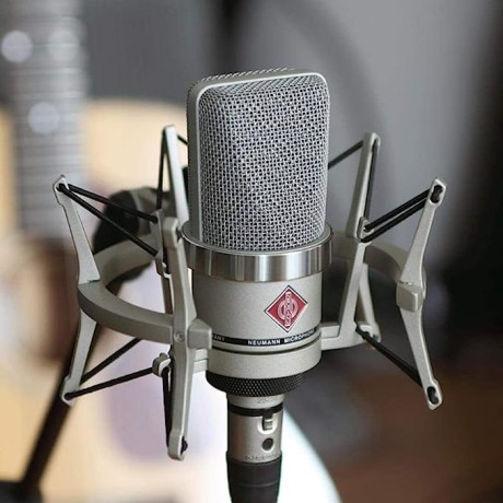 neumann-pro-audio-cardioid-condenser-microphone-ideal-for-home-big-2