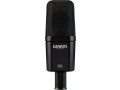 warm-audio-wa-14-large-diaphragm-condenser-microphone-black-with-silver-grille-small-1