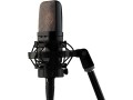warm-audio-wa-14-large-diaphragm-condenser-microphone-black-with-silver-grille-small-2