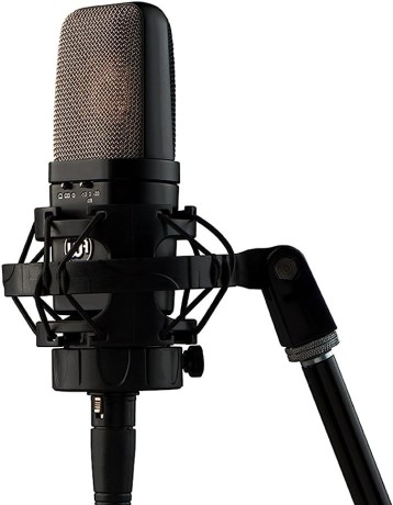 warm-audio-wa-14-large-diaphragm-condenser-microphone-black-with-silver-grille-big-2