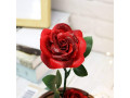valentines-day-gifts-for-herbeauty-and-the-beast-rose-flowersvalentines-rose-flower-gifts-for-women-small-3