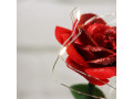 valentines-day-gifts-for-herbeauty-and-the-beast-rose-flowersvalentines-rose-flower-gifts-for-women-small-4