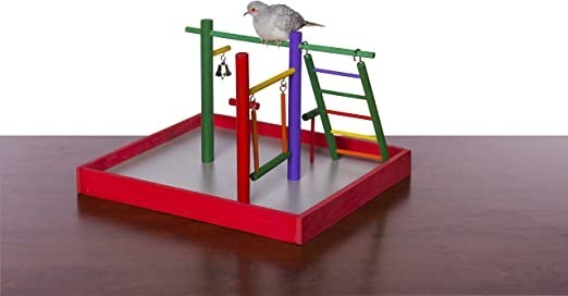 prevue-hendryx-pet-products-parakeet-park-playground-big-1