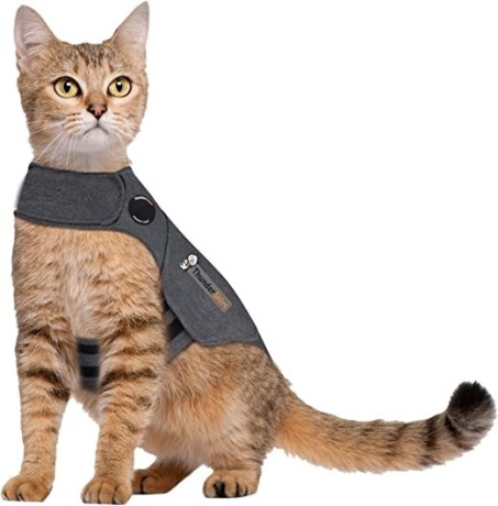 thundershirt-for-cats-big-2