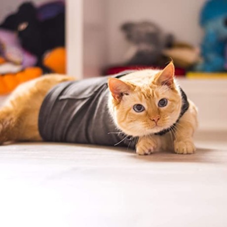 thundershirt-for-cats-big-1