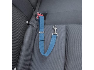 Furhaven Adjustable Pet Seat Belt for Cars & Standard Vehicles - Lagoon Blue, One Size