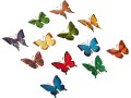 us-toy-mini-butterflies-action-figure-12-pack-small-0